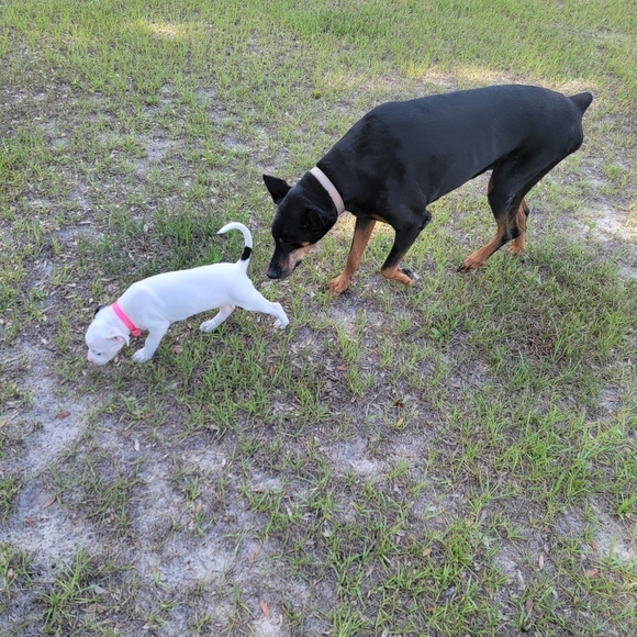 like to be notified.❤️❤️❤️💙💜💙💖 - Picture 4 of 8